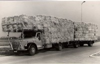 /album/fotoalbum/strotransport-in-de-beginjaren-jpg/